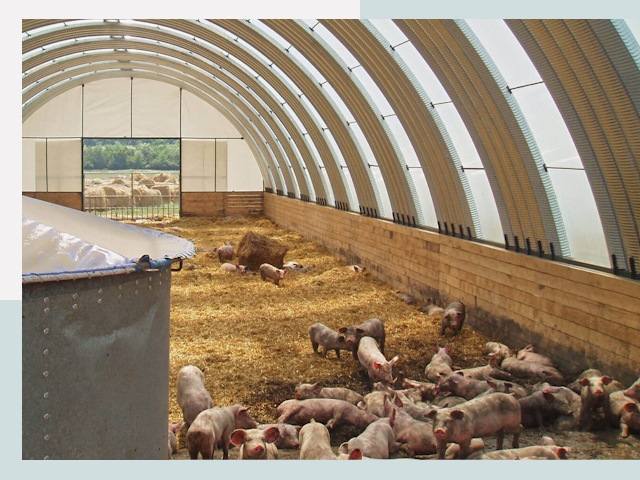 Строительство свинарников в Каспийске